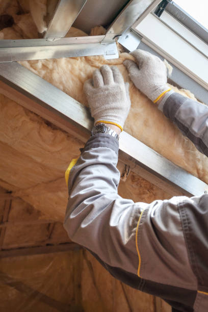 Best Residential Insulation in Taft Southwest, TX