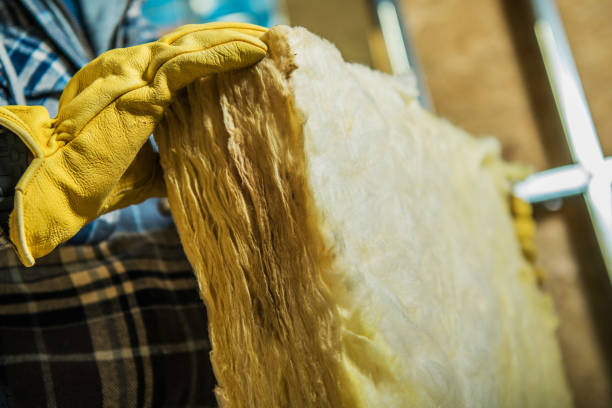 Best Insulation Maintenance and Repair in Taft Southwest, TX