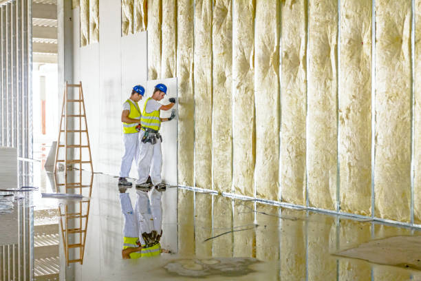 Best Insulation Installation Services in Taft Southwest, TX